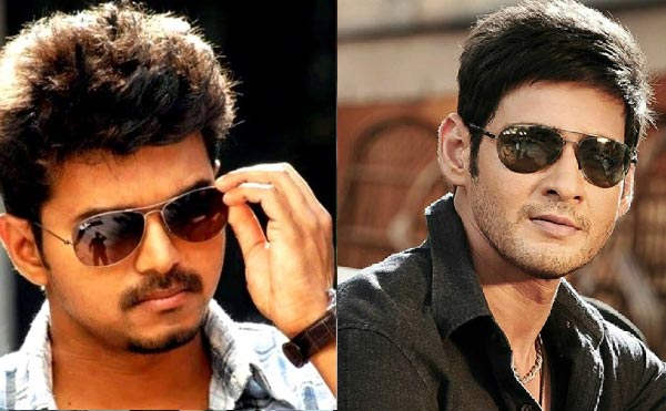 mahesh babu,vijay,murugadoss,brahmothsawam  మహేష్ సినిమాలో తమిళ స్టార్ హీరో!